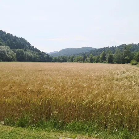 Pocitniska Prikolica Zeleni Raj Počitniška hiša Podnart