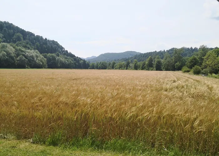 Pocitniska Prikolica Zeleni Raj 度假居 帕德纳特